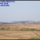 창녕군길곡면오호리보건진료소 | ♠ 창녕군 토지(답)예상낙찰가♠ 경남 창녕군경매&gt;경남 창녕군 길곡면 오호리 702-40 경매 무료권리분석...