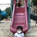 윤우목장 네이버블로그