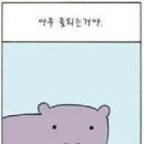 아카이아