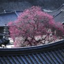 만나의집 이미지