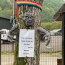 강촌포도팬션&캠핑장 이미지