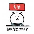 띵동이의 2주간의 기록