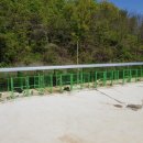 휴먼앤독 이미지