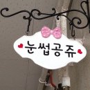 눈썹공쥬