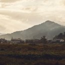 안경공장직영점 이미지