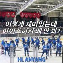 경기게임마이스터고_하 | 아이스하키 직관 HL 안양 아시아리그 정규리그 경기 다녀온 후기