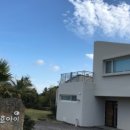 호호아이 이미지