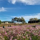 선사유적공원 이미지