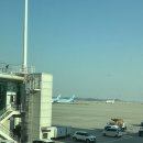 737 | 대한항공 인천 - 나트랑 KE465 보잉737-900 이코노미 기내식 탑승후기