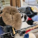 동대문의류 이미지