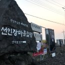 월령백련초가