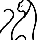 테일링커피로스터스 이미지