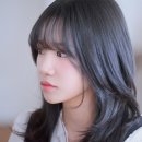 율 이미지