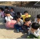 새화랑유치원 이미지