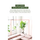 라온디자인 이미지