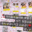 봉그루밍 이미지