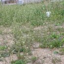 1004농장 이미지