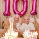 아부엘로 이미지