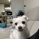 (주)플래닛주민센터 네이버블로그