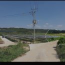 남도태양광발전소 이미지