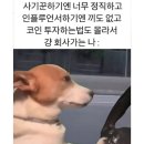 빈트리 | 1월 일상 모음과 챗지피티 사주 본 후기