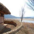 낙동강오리 - 영도구 남항로25번길 5 | 낙동강오리