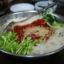 청송산오징어 - 관악구 남현1길 8 | 청송산오징어