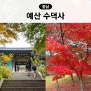 수덕사 대형주차장 | 충남 예산 가볼만한곳 수덕사 주차 맛집 단풍 실시간 템플스테이 대웅전