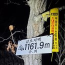 금오화원