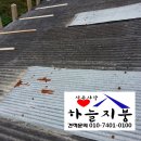 윤씨네민박 이미지