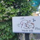 멍뜰리에 네이버블로그