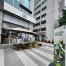 매머드익스프레스창동