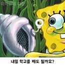 눈썹문신 후기 이미지