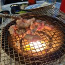 [부산] 2025 부산 생일 여행 ② : 행복했던 먹고문, 그리고 예천 여행까지