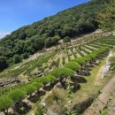 부산추모공원 이미지