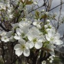 은한농장 이미지