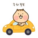 티엘헤어라인 이미지