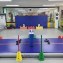 금빛스타태권도 이미지