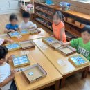 멘사창의유치원 이미지