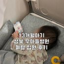 성북13 | [13개월 아기] 돌아기 폐렴 입원 후기 | 성북 우리아이들 병원 폐렴 입원 후기 &amp; 우아들 입원 준비물...