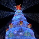 제 8회 부산 크리스마스 트리문화축제. 이미지