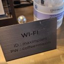 맥심 플랜트(Maxim PLANT) 이미지