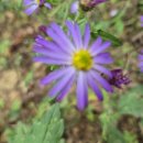 청하농장 이미지