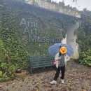 아미스테이 이미지