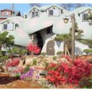 이미지-집 이미지