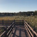 낙동강하천공원주차장 이미지