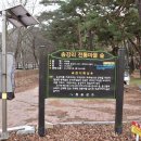 목계숲 2 이미지