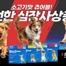남양약국 이미지