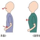 새봄태권도 이미지