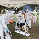 영양군종합복지회관 이미지